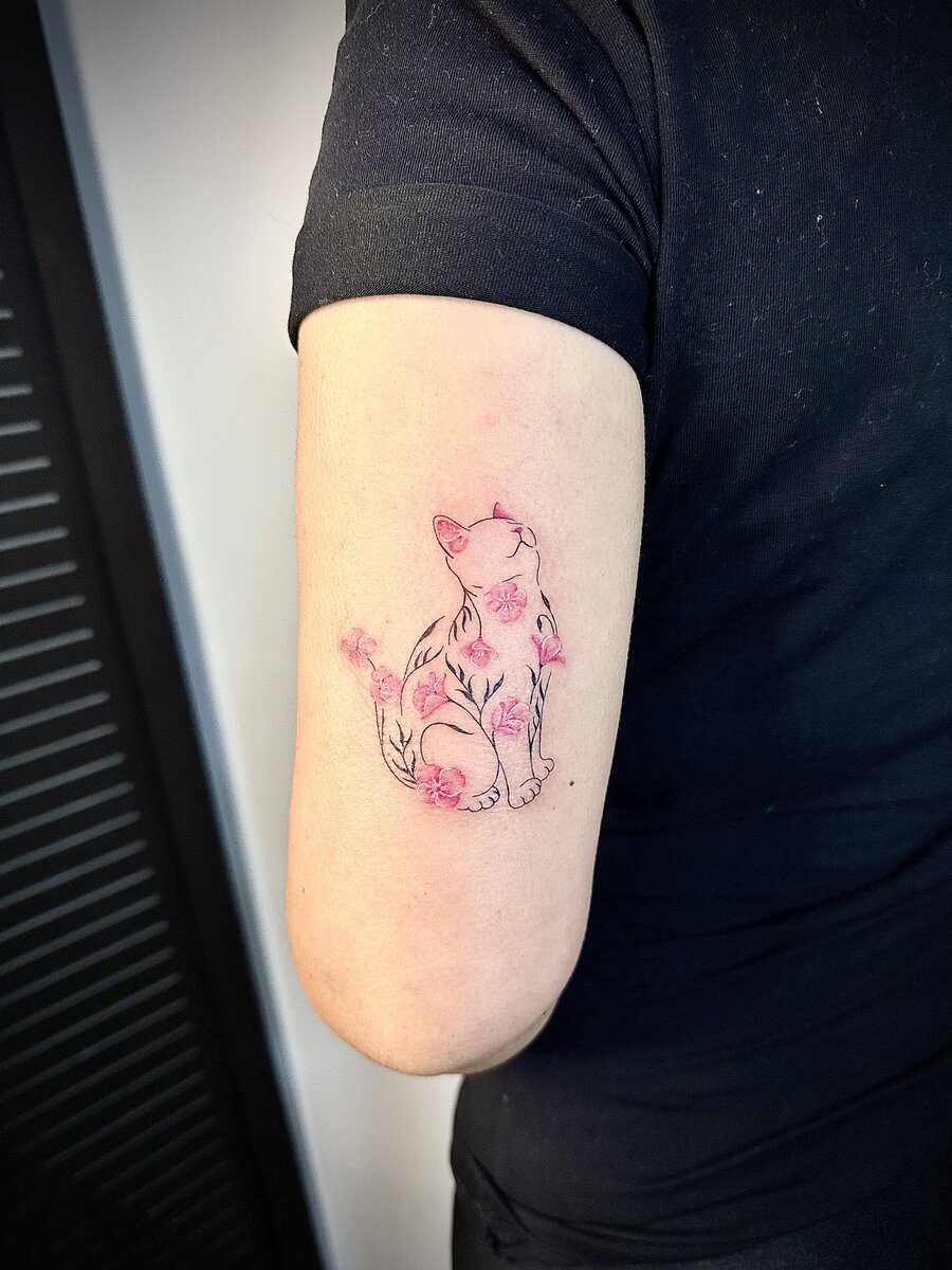 Animais 9
