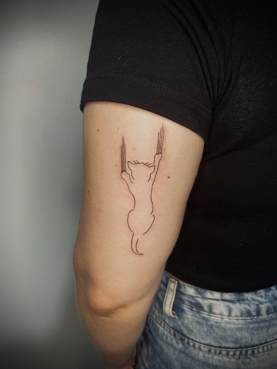 Minimalista 6