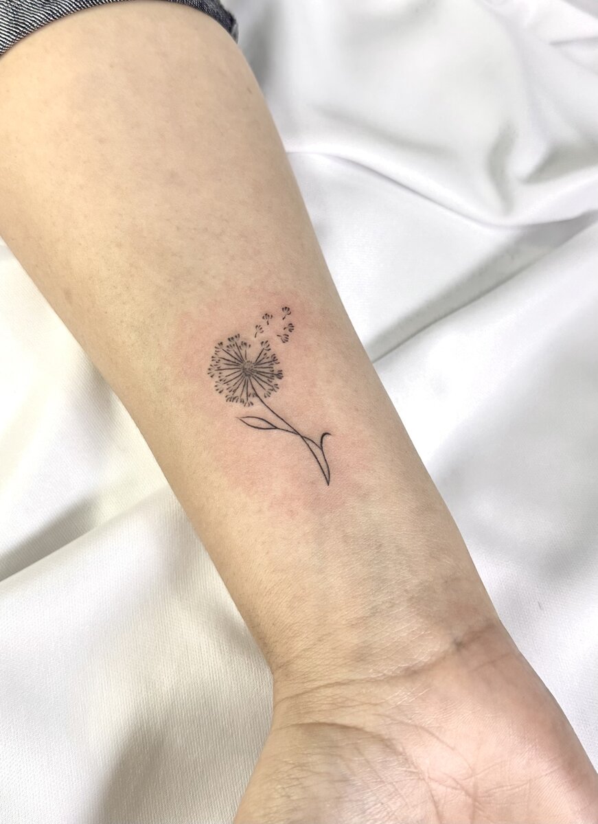 Minimalista 12